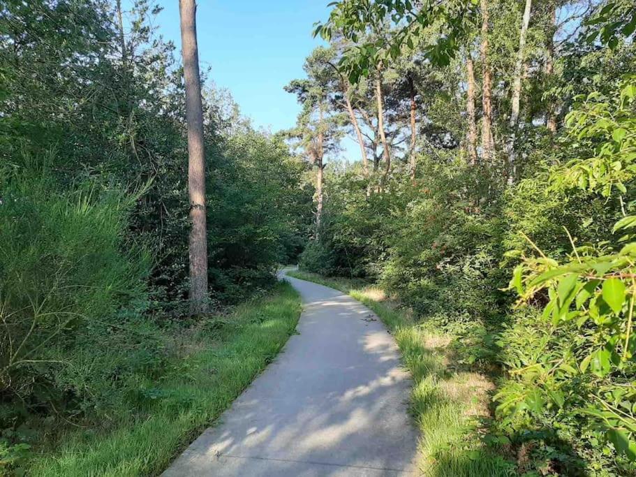 Vakantiehuis Eikzicht Gelegen Aan Het Bos Elsloo  Exterior photo